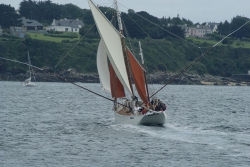 Biche, dernier thonier groisillon