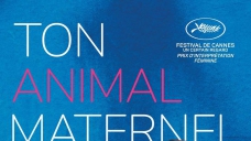 13tonanimalmaternel.jpg