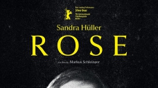 17rose.jpg
